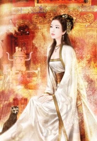 黑丝绒