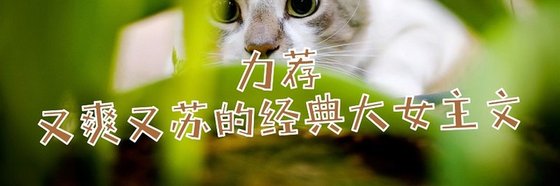 強推15部免費小説: 古代言情、玄幻異世與玄幻奇幻